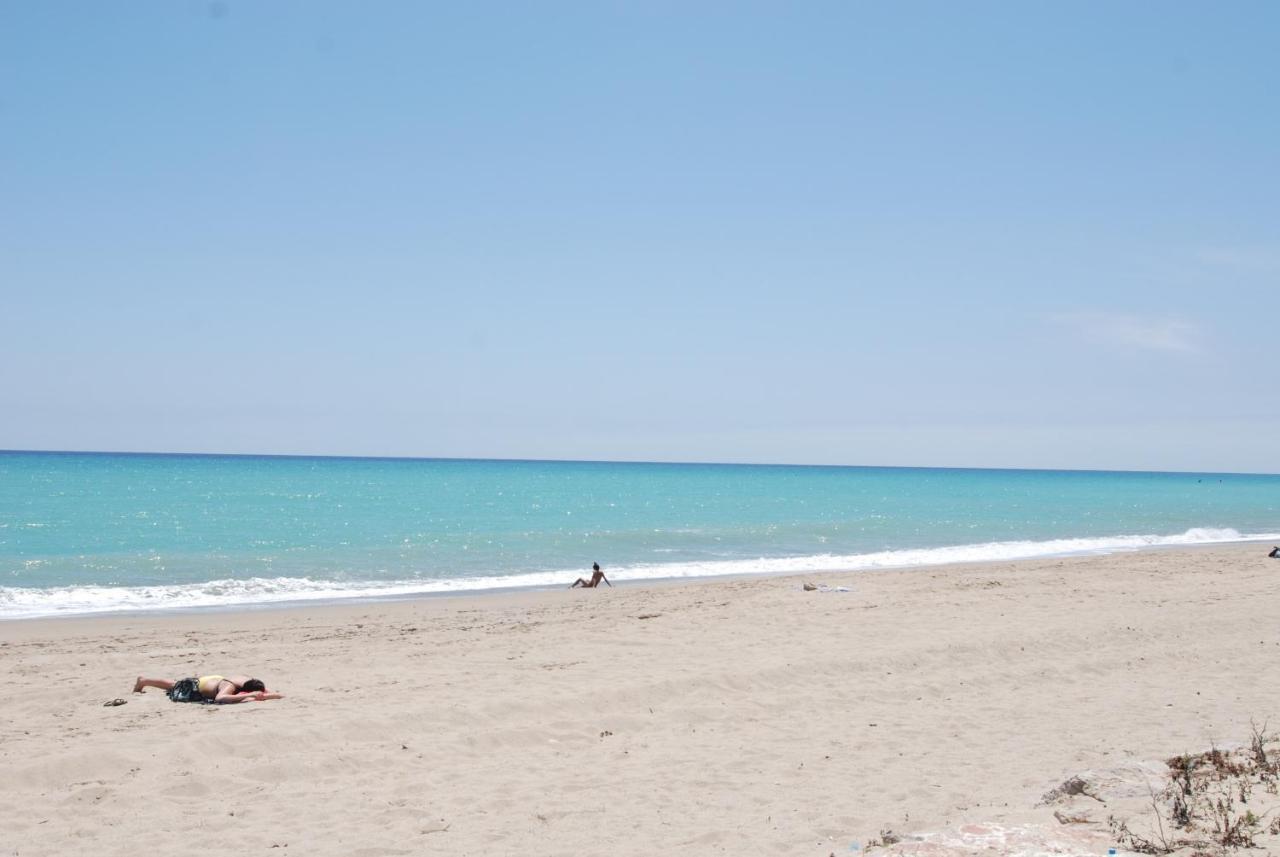 Zeus Guardamar Seaview Lägenhet Miami Playa Exteriör bild